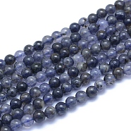 Natural Iolite/Cordierite/Dichroite Beads Strands, Round, 5~5.5mm, Hole: 0.7mm, about 83pcs/strand, 15.75 inch(40cm)(G-L552H-11A)