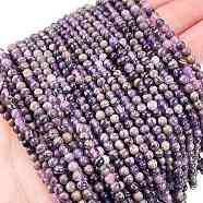 Natural Charoite Beads Strands, Round, 3mm, Hole: 0.5mm, about 136pcs/strand, 15.87''(40.3cm)(G-M438-A03-01)