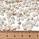 Baking Paint Glass Seed Beads(SEED-F006-01A-12)-4