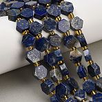 Natural Lapis Lazuli Beads Strands, Hexagon, with Seed Beads, 9x10x5mm, Hole: 0.8mm, about 15pcs/strand, 7.09''(18cm)(G-F833-B11-01)