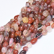 Natural Agate Beads Strands, Chip, 10~13x8~10x6~8mm, Hole: 0.8mm, about 39pcs/Strand, 15.75 inch(40cm)(G-D0004-A02-09)