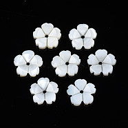 Natural Freshwater Shell Beads, Flower, Seashell Color, 9.5x10x1.5~2mm, Hole: 1.2mm(SHEL-N026-185)