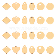Vacuum Plating Stainless Steel Charms, Stamping Blank Tag, Mixed Shapes, Golden, 9~12.5x6~12x1~1.5mm, Hole: 1~2.5mm, 60pcs/box(STAS-PH0019-64)