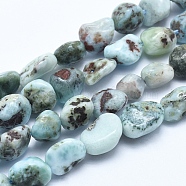 Natural Larimar Bead Strands, Nuggets, 5~8mm, Hole: 0.8mm, about 45~47pcs/strand, 15.7 inch(40cm)(X-G-E483-47)