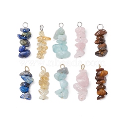 10Pcs 5 Colors 12 Constellation Natural Aquamarine & Citrine & Rose Quartz & Tiger Eye & Lapis Lazuli Pendants, Chip Charms with 304 Stainless Steel Loops, Golden & Stainless Steel Color, Taurus, 22~24x8~10x7~9mm, Hole: 2.5~3mm, 2pcs/color(PALLOY-JF02839-04)