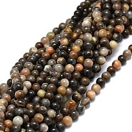 Natural Black Sunstone Beads Strands, Round, 6~6.5mm, Hole: 0.8mm, about 60pcs/strand, 15.55''(39.5cm)(G-E576-01A)