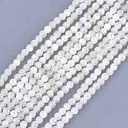 Natural White Shell Beads, Mother of Pearl Shell Beads Strands, Round, Ivory, 3mm, Hole: 0.8mm, about 121pcs/strand, 14.9 inch(X-SHEL-T012-49B)