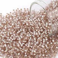 TOHO Round Seed Beads, Japanese Seed Beads, (31F) Silver Lined Frosted Rosaline, 11/0, 2.2mm, Hole: 0.8mm, about 1110pcs/10g(X-SEED-TR11-0031F)