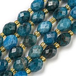 Natural Apatite Beads Strands, Faceted, Oval, with Seed Beads, 8~9x6~8mm, Hole: 1~1.2mm, about 17~19pcs/strand, 7.09~7.87 inch(18~20cm)(G-N342-48)