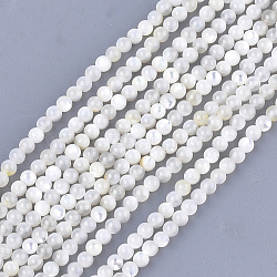 Natural White Shell Beads, Mother of Pearl Shell Beads Strands, Round, Ivory, 3mm, Hole: 0.8mm, about 121pcs/strand, 14.9 inch(X-SHEL-T012-49B)