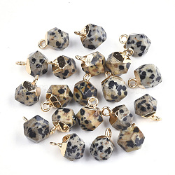 Electroplate Natural Dalmatian Jasper Charms, with Iron Findings, Faceted, Golden, 11~12x8x8mm, Hole: 1.5mm(X-G-S344-08D)