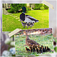 Double-sided Pattern Acrylic Garden Stake(AJEW-WH0348-02D)-5