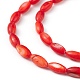 Natural Freshwater Shell Dyed Beads Strands(SHEL-M018-13-05)-3