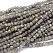 Natural Electroplate Labradorite Round Bead Strands, Faceted, 4mm, Hole: 1mm, about 109pcs/strand, 16 inch(G-O094-04-4mm)