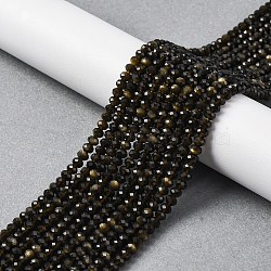 Natural Golden Sheen Obsidian Beads Strands, Faceted, Rondelle, 4x3mm, Hole: 0.6mm, about 134pcs/strand, 15.39''(39.1cm)(G-G139-B24-01)