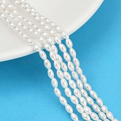 Electroplated Shell Pearl Beads Strands, Rice, Polished, White, 5x3mm, Hole: 0.8mm, about 81pcs/strand, 15.98''(40.6cm)(BSHE-Z009-10B)