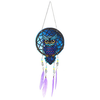 DIY Diamond Painting Web with Feather Wind Chime Kits, Including Resin Rhinestones, Diamond Sticky Pen, Tray Plate and Glue Clay, Owl Pattern, 330mm