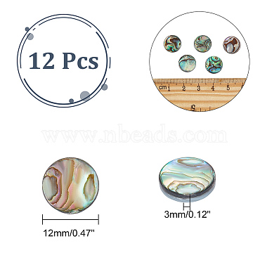 AHADERMAKER 12Pcs Natural Abalone Shell/Paua Shell Cabochons(SHEL-GA0001-15)-2