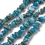 Natural Apatite Beads Strands, Chip, 8x5mm, Hole: 0.6mm, 33.07''(84cm)(X-G-F666-01B-02-01)