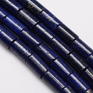 Natural Lapis Lazuli Column Bead Strands, Dyed, 10x6mm, Hole: 1mm, about 38pcs/strand, 15.5 inch(G-M264-14)