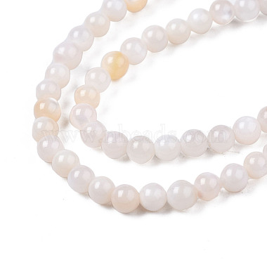 Natural Freshwater Shell Beads Strands(BSHE-T009A-01B)-3