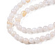 Natural Freshwater Shell Beads Strands(BSHE-T009A-01B)-3
