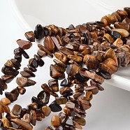 Nuggets Natural Tiger Eye Bead Strands, 4~6x8~12x2~4mm, Hole: 1mm, about 34.6 inch(G-M344-27)