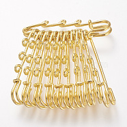 Iron Safety Brooch Findings, Kilt Pins, Golden, 50~55x15x5mm, Hole: 1.5mm(IFIN-R226-G)