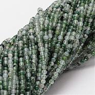 Natural Moss Agate Beads Strands, Round, 2mm, Hole: 0.5mm, about 190pcs/strand(G-N0184-07-2mm)