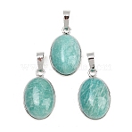 Natural Amazonite Pendants, Brass Gems Oval Charms, Rack Plating, Long-Lasting Plated, Platinum, 23.5x14.5x8mm, Hole: 8x5mm(G-A315-06P)