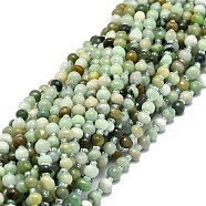 Natural Myanmar Jade Beads Strands, Irregular Rondelle, 6~7x5~6x4~5mm, Hole: 1mm, about 52pcs/strand, 15.55''(39.5cm)(G-E576-60)