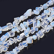 Opalite Beads Strands, Chip, 6~20x4~8x1.5~8mm, Hole: 1mm, about 209pcs/strand, 35.1 inch(G-S280-20)