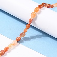 Natural Golden Silk Jade Beads Strands, Nuggets, Tumbled Stone, 8~11x7.5~9x4.5~7mm, Hole: 0.8mm, about 42pcs/strand, 15.94''(40.5cm)(G-G018-16)