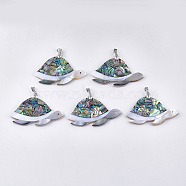 Mixed Shell Pendants, with Brass Findings, Sea Turtle, Platinum, 38x60~63x4~4.5mm, Hole: 6x4mm(SHEL-S275-17)