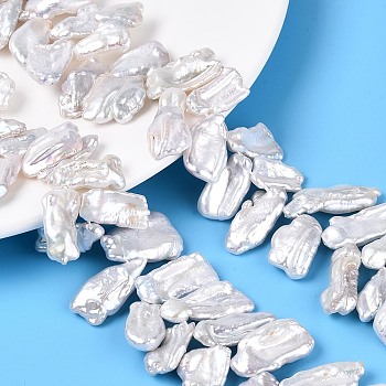Natural Baroque Keshi Pearl Beads Strands, Nucleated Pearl, Rectangle, Top Drilled, Seashell Color, 12.5~30x8.5~35x3~11mm, Hole: 0.5mm, about 59~70pcs/strand, 14.96~15.55 inch(38~39.5cm)
