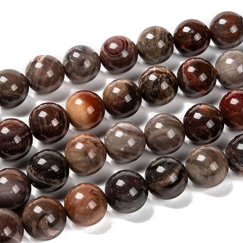 Natural Petrified Wood Round Bead Strands, 14mm, Hole: 1mm, about 27pcs/strand, 15 inch