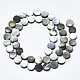 Natural Black Lip Shell Beads(SSHEL-N036-034C-01)-2