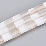 Natural White Agate Beads Strands, Tube, 19~20x8mm, Hole: 1~1.2mm, about 20pcs/strand, 15.75~15.94''(40~40.5cm)(G-T144-31)