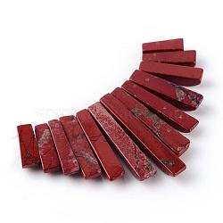 Natural Red Jasper Pendants Sets, Graduated Fan Pendants, Focal Beads, Rectangle, 11~30x4~5x4mm, Hole: 1mm, 13pcs/set(G-Q458-01E)