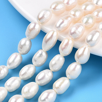 Natural Cultured Freshwater Pearl Beads Strands, Rice, Seashell Color, 10~13x7.9~8.4mm, Hole: 0.7~0.8mm, about 16~17pcs/strand, 7.09 inch(18cm)