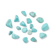 Synthetic Turquoise Beads, No Hole/Undrilled, Dyed, Chip, 5~13.5x4~6x3.5~4.5mm(X-G-F722-03)