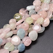 Dyed Natural Morganite Nuggets Beads Strands, Tumbled Stone, 9~12x8~13x5~7mm, Hole: 1mm, about 15.3 inch~15.7 inch(G-J336-14)