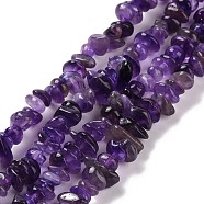 Natural Amethyst Chip Bead Strands, 5~8x5~8mm, Hole: 1mm, about 31.5 inch(G-M205-58)