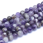 Natural Amethyst Beads Strands, Round, 8~8.5mm, Hole: 0.8mm, about 50pcs/strand, 15.55 inch(39.5cm)(X-G-L552H-03B)