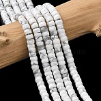 Natural Howlite Heishi Beads Strands, Faceted, Rondelle, 4x2mm, Hole: 1mm, about 161pcs/strand, 14.76''(37.5cm)(G-A299-A08-01)
