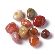 Natural South Red Agate Beads, Tumbled Stone, Healing Stones for 7 Chakras Balancing, Crystal Therapy, Vase Filler Gems, No Hole/Undrilled, Nuggets, 16~26.5x13.5~20x11~17mm, about 156pcs/1000g(G-O188-06)