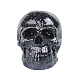 Resin Skull Display Decoration(PW-WG35334-05)-1