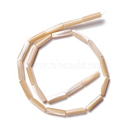 Natural Trochid Shell/Trochus Shell Beads, Straight Tube, Navajo White, 14x3.5~4mm, Hole: 0.8mm, about 29pcs/strand, 15.98 inch(40.6cm)(SSHEL-O001-26A)