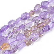 Natural Ametrine Beads Strands, Nuggets, Tumbled Stone, 5~11x5~8x3~6mm, Hole: 0.8mm, about: 52~56pcs/Strand, 15.94 inch(40.5cm)(X-G-S363-052)