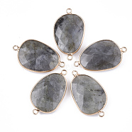 Natural Labradorite Links connectors, with Brass Findings, Faceted, Oval, Golden, 37.5~38.5x22~22.5x6.5~8mm, Hole: 2.5mm(G-S344-71A)